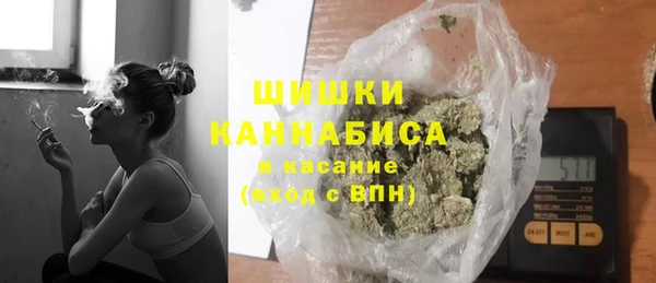индика Беломорск