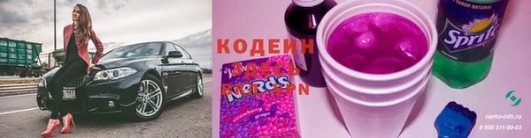 индика Беломорск