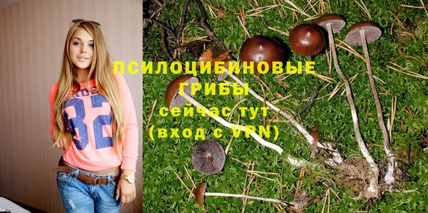 экстази Баксан