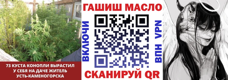 MEGA зеркало  Тосно  ТГК гашишное масло  даркнет сайт 