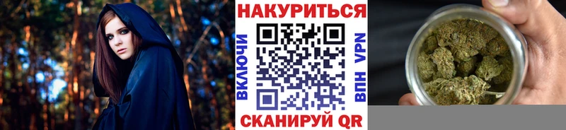 где найти omg Каннабис OG Kush Тосно